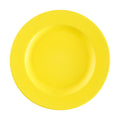 Raınbow collectıon dinner plate - solar