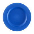Raınbow collectıon dinner plate - cobalt