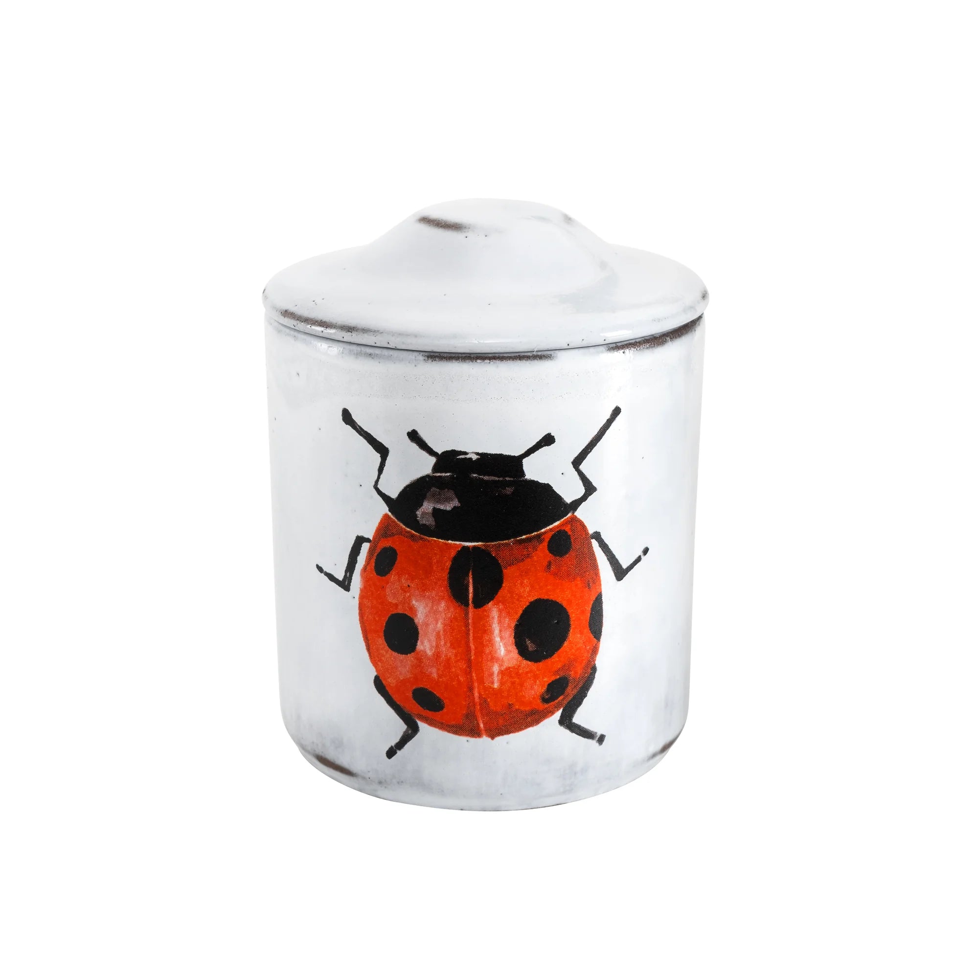 Candle -Lady bug